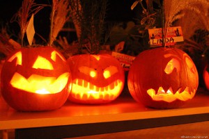 img_8645.jpg